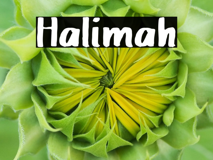 Halimah Example 1