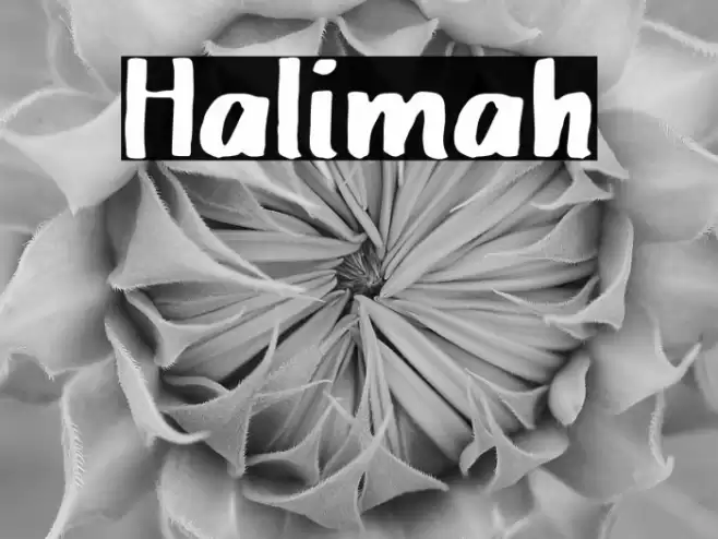 Halimah Font examples