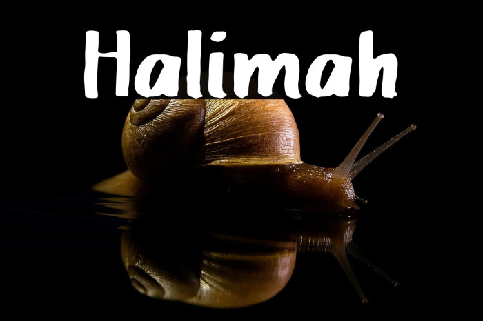 Halimah Example 2