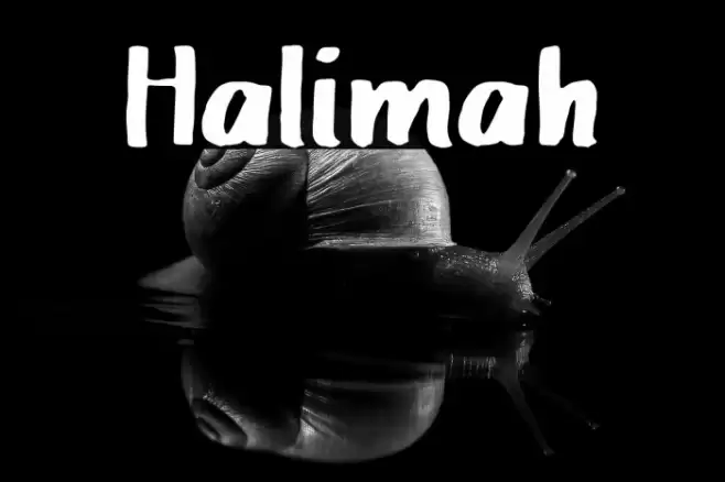 Halimah Font examples