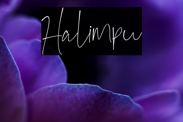 Halimpu Example 3