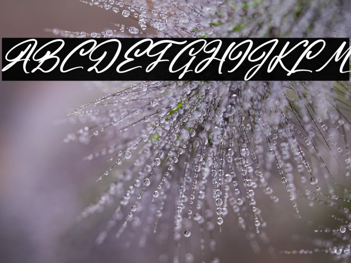 Halingtone William Italic Example 1