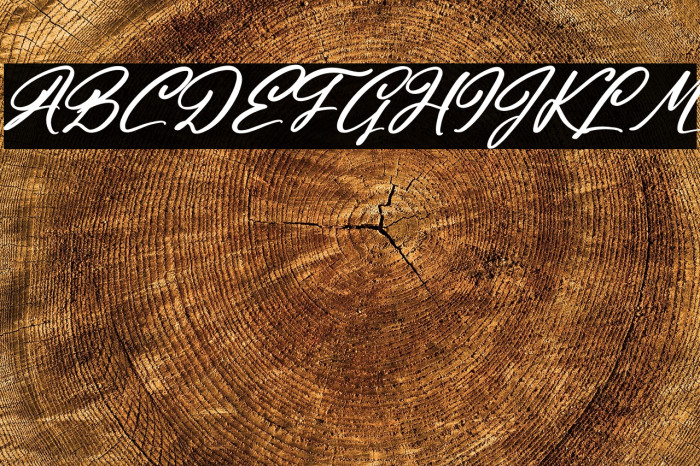 Halingtone William Italic Example 3