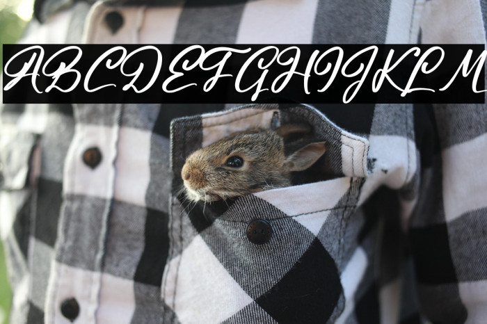 Halingtone William Example 3