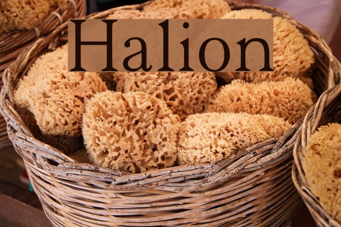 Halion Font examples