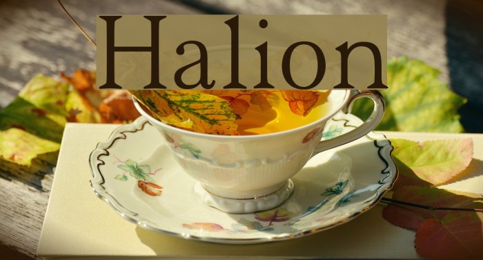 Halion Font examples