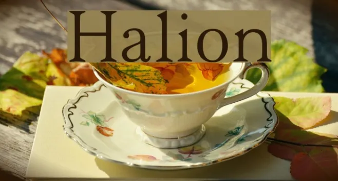 Halion Example 2