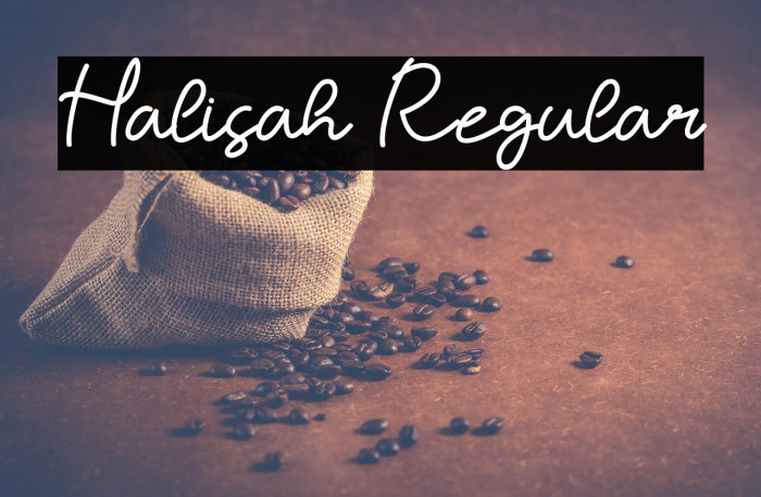 Halisah Regular Example 1