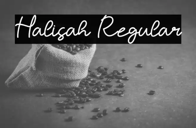 Halisah Regular Fuentes examples