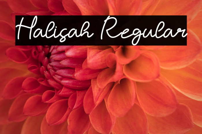 Halisah Regular Example 2