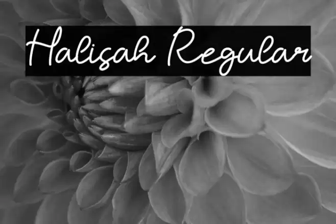 Halisah Regular Fuentes examples