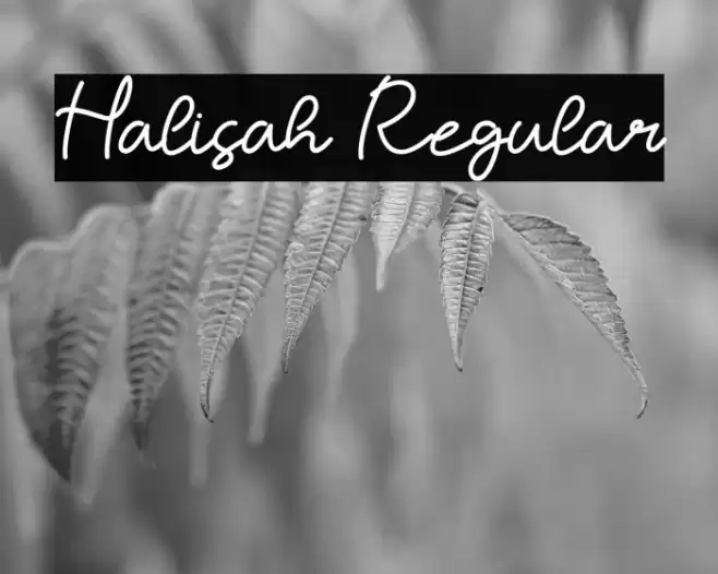 Halisah Regular Fuentes examples