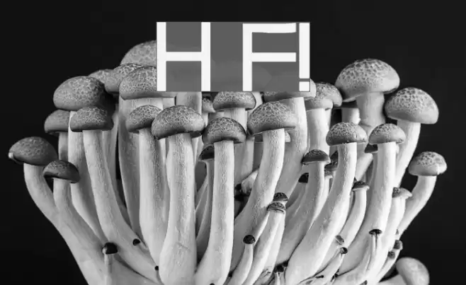 Halit's Font! Font examples