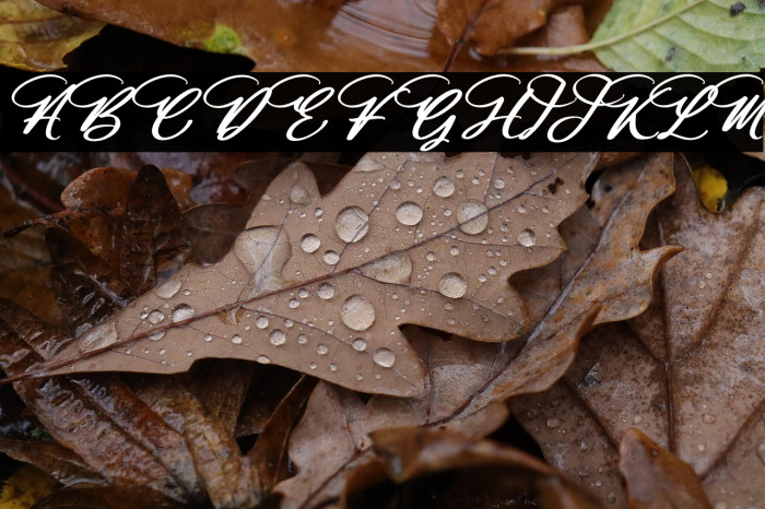 Halittany Badela Italic Example 1