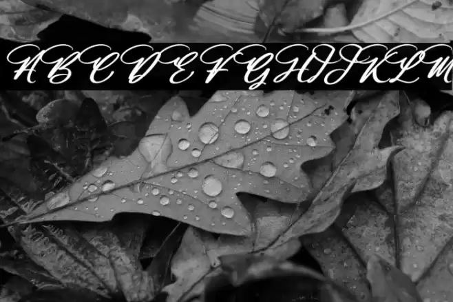 Halittany Badela Italic Font examples