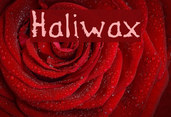 Haliwax Font examples