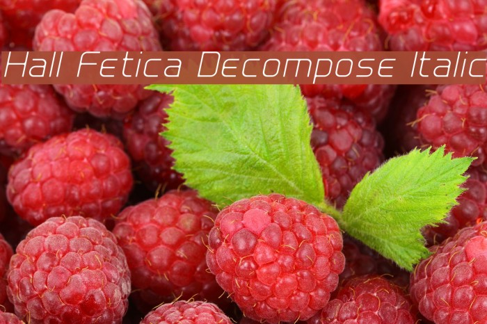 Hall Fetica Decompose Italic Font examples