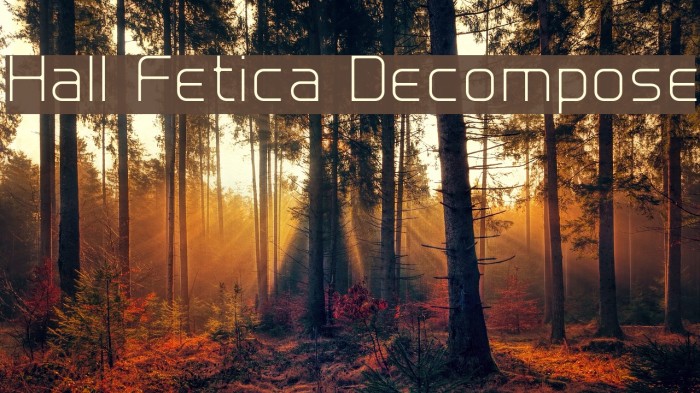 Hall Fetica Decompose Font examples