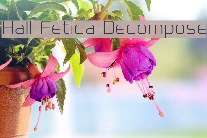 Hall Fetica Decompose Font examples