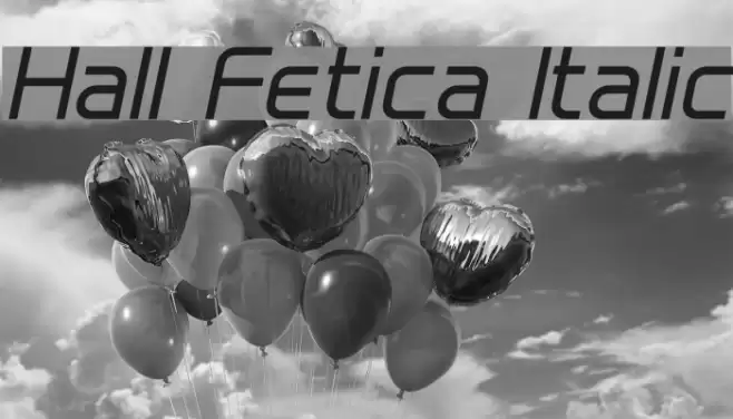 Hall Fetica Italic Font examples