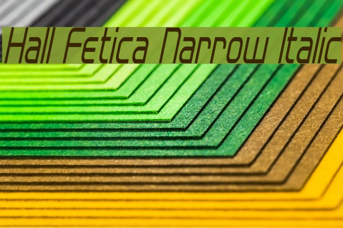Hall Fetica Narrow Italic Font examples