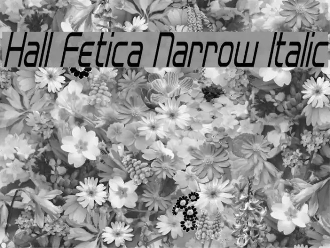 Hall Fetica Narrow Italic Font examples