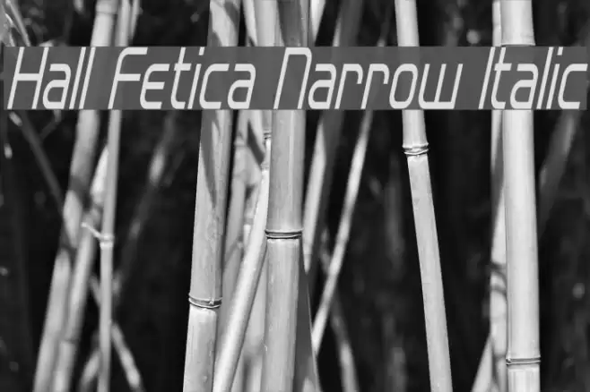 Hall Fetica Narrow Italic Font examples