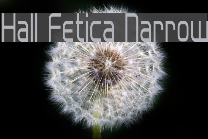 Hall Fetica Narrow Font examples