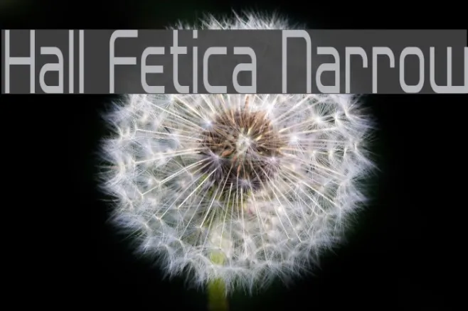 Hall Fetica Narrow Example 1