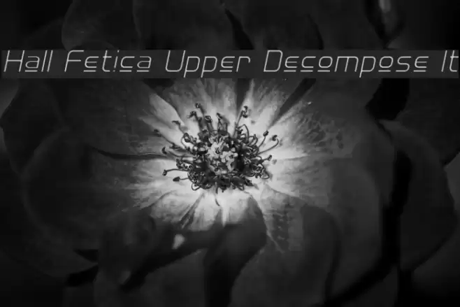 Hall Fetica Upper Decompose It Font examples