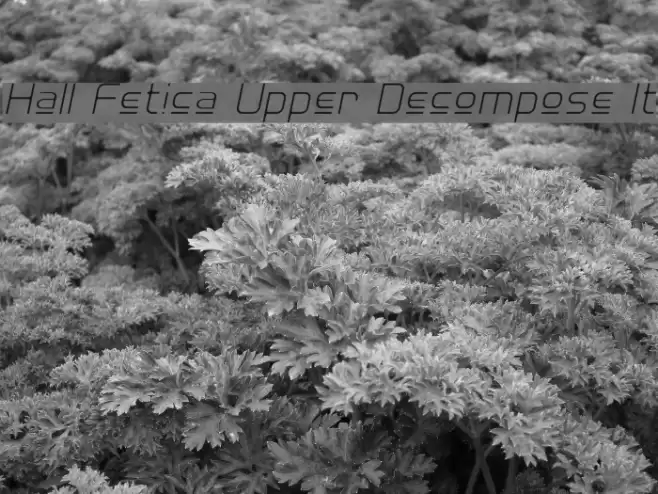 Hall Fetica Upper Decompose It Font examples