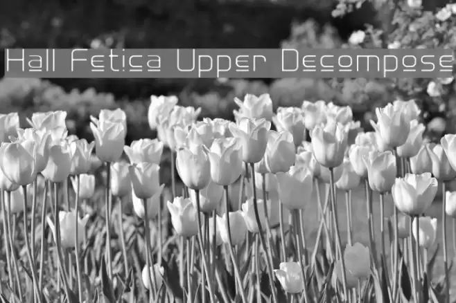 Hall Fetica Upper Decompose Font examples