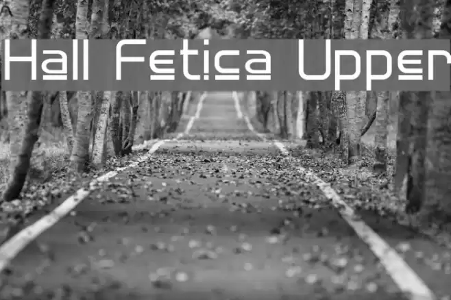 Hall Fetica Upper Font examples