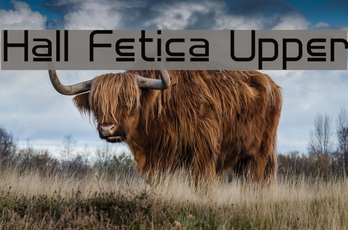 Hall Fetica Upper Example 2