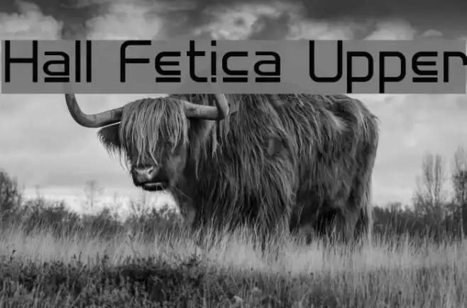 Hall Fetica Upper Font examples