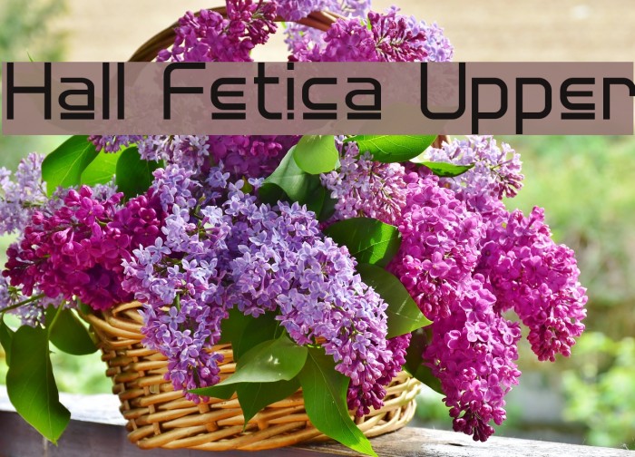 Hall Fetica Upper Example 3