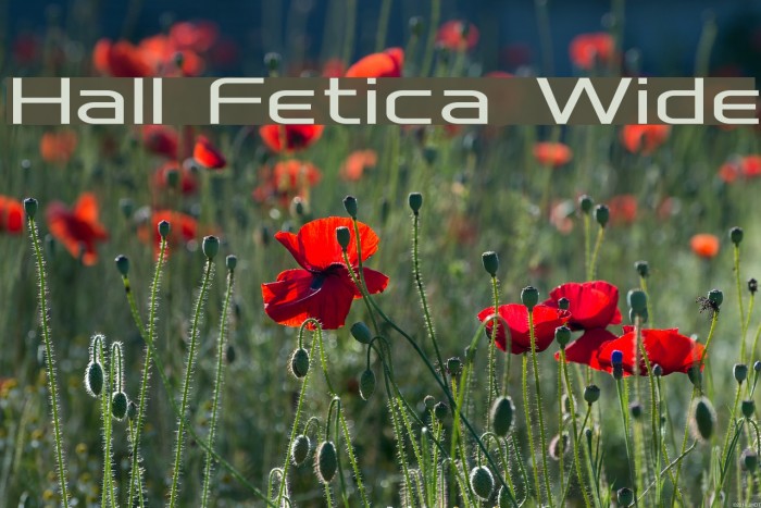 Hall Fetica Wide Font examples