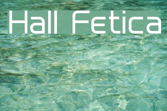 Hall Fetica Font examples