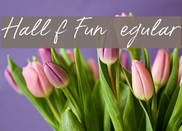 Hall Of Fun DEMO Regular Font examples