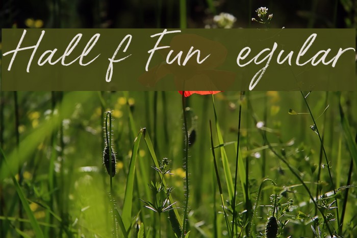 Hall Of Fun DEMO Regular Font examples