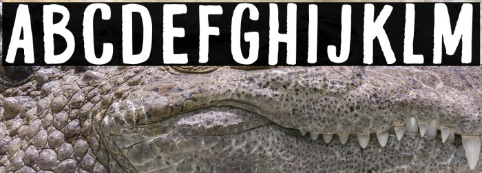 Hall Trash Example 3