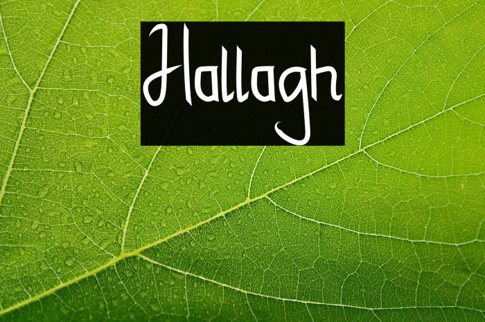 Hallagh Example 1
