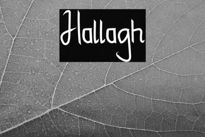 Hallagh Font examples
