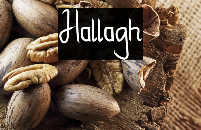 Hallagh Example 2