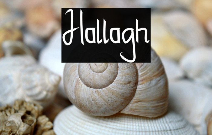Hallagh Example 3