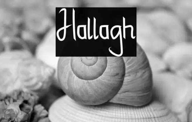Hallagh Font examples