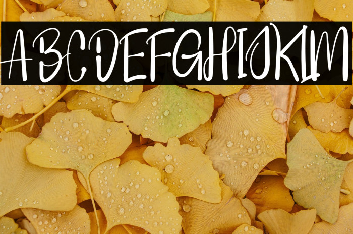 Hallalan Ya Ramadhan Example 2