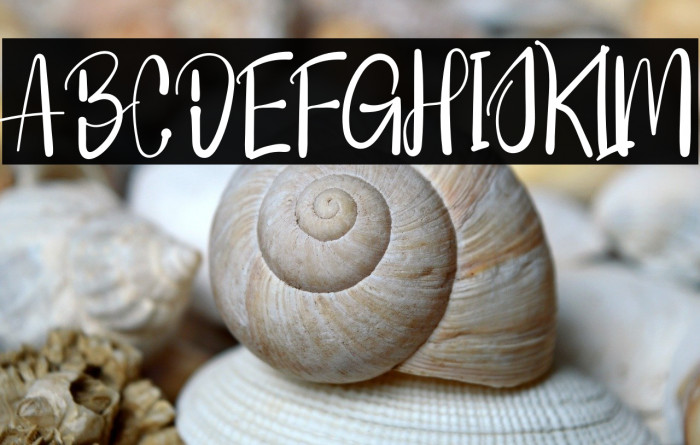 Hallalan Ya Ramadhan Example 3