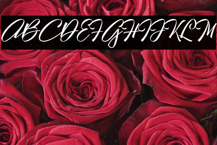 Hallelujah Example 3