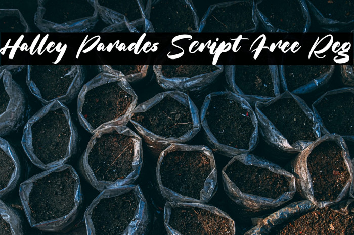 Halley Parades Script Free Reg Example 1